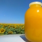 Мёд подсолнечника - 500 г