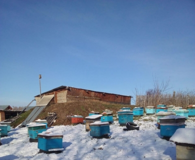 Пасека «Пашкины пасеки» Пасека «Пашкины пасеки»